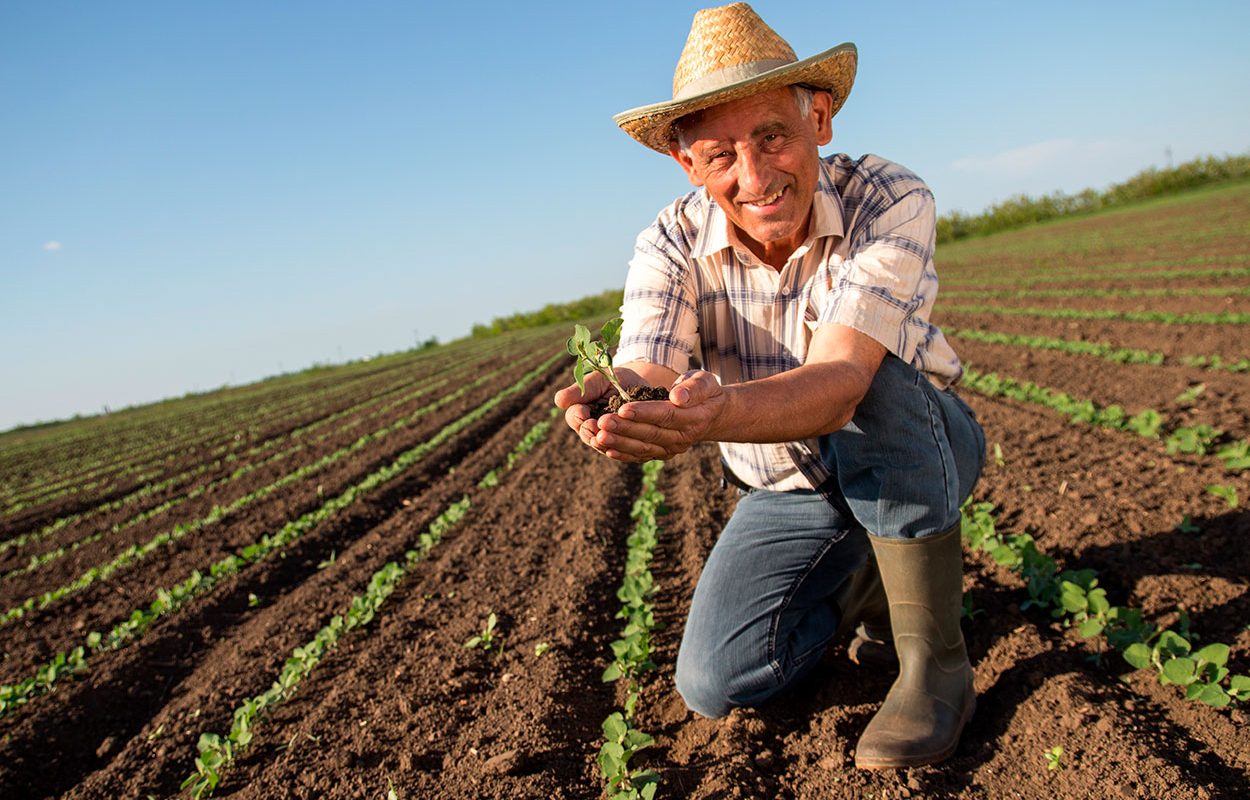 R090LWA-DÍA-DEL-CAMPESINO--1250x800